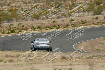 media/May-03-2025-Lucky Dog Racing (Sat) [[206de64b9d]]/Turn 2 (1020am-1120am)/